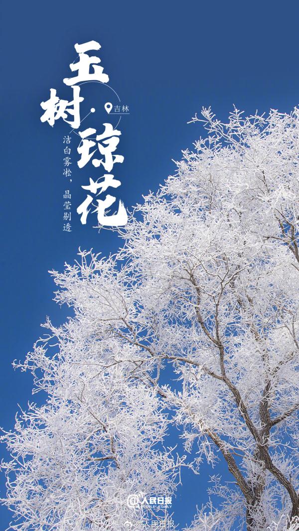 收藏！专属于冬日的浪漫氛围感