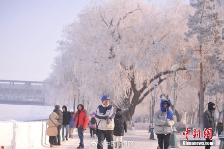 哈尔滨再现雾凇景观