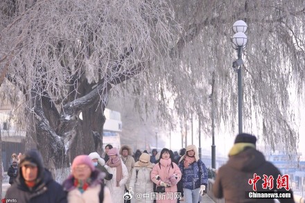 哈尔滨再现雾凇景观
