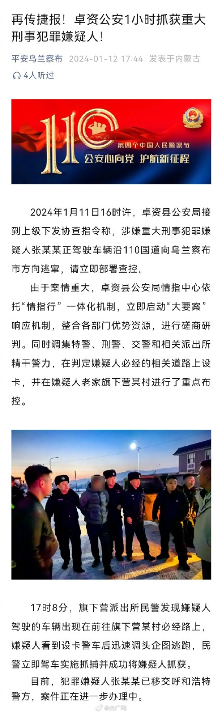 重大刑事犯罪嫌疑人张某某被抓