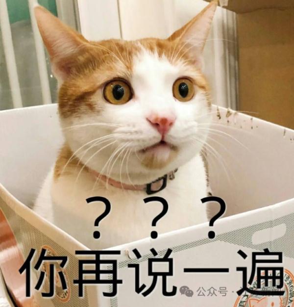 网友自发打卡火到出圈！一面墙也能成新景点，凭啥？