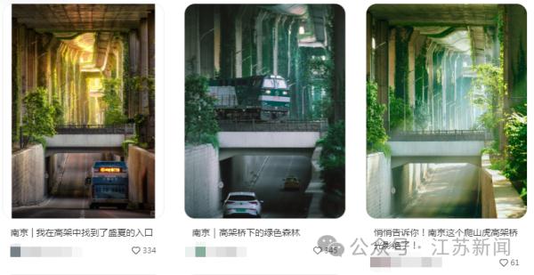 网友自发打卡火到出圈！一面墙也能成新景点，凭啥？
