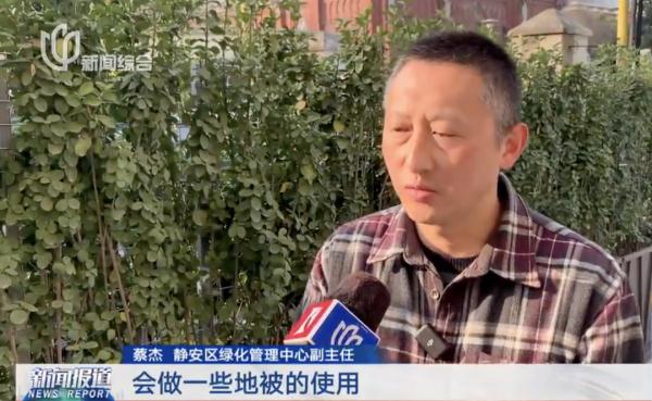 上海太舍得了！街头悄悄变了，市民意外又担心！网友：全靠素质撑着不动手