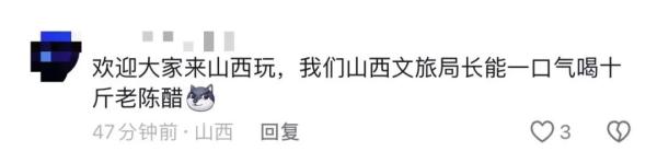 各地文旅局都“疯”了?河南发短信“全省摇人”?回应来了…… 各地文旅局都“疯”了?河南发短信“全省摇人”?回应来了……
