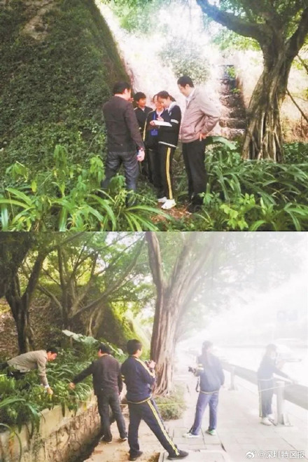 深圳这座桥的设计灵感来自三位初中生 深圳这座桥的设计灵感来自三位初中生