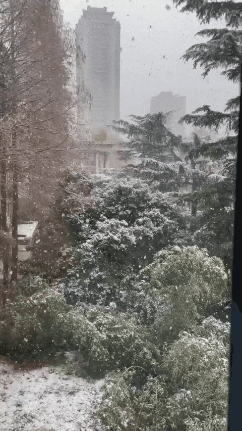 西安城区今年首场雪来了，你那里下雪了吗？