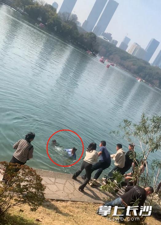 事发湖南烈士公园！长沙五旬大叔纵身一跃……