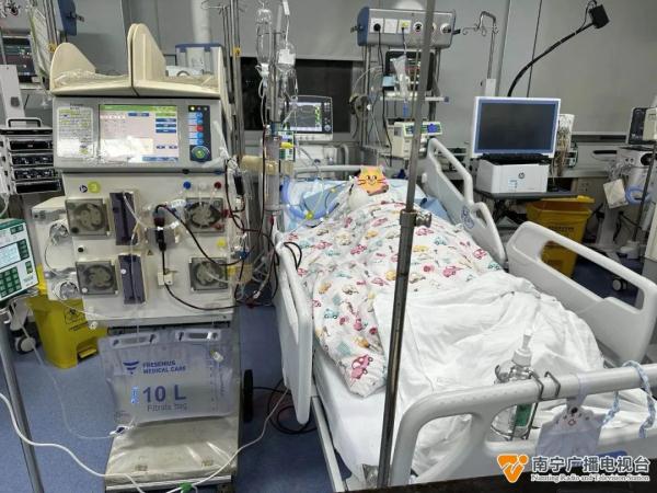 广西一老人将含鼠药的饼干放到菜地，兄妹误食险丧命