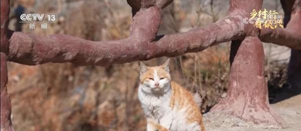 小山沟蕴藏大优势 “写生经济”绘出乡村腾飞“新画卷”