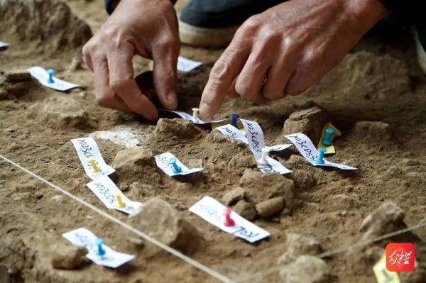 遗址人类活动史向前推进至少5.5万年前！贵州普定穿洞发布重要考古成果