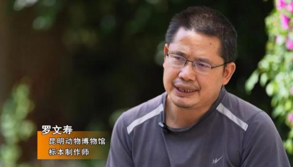 “起死回生”的标本师 “起死回生”的标本师