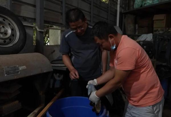 “起死回生”的标本师 “起死回生”的标本师