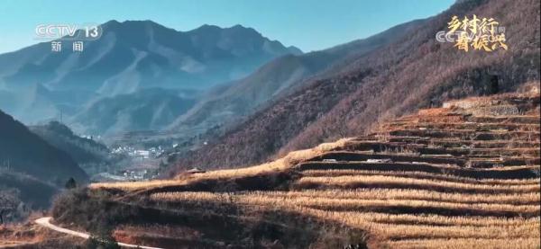 小山沟蕴藏大优势 “写生经济”绘出乡村腾飞“新画卷”