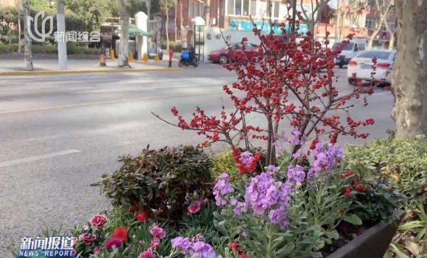 上海太舍得了！街头悄悄变了，市民意外又担心！网友：全靠素质撑着不动手