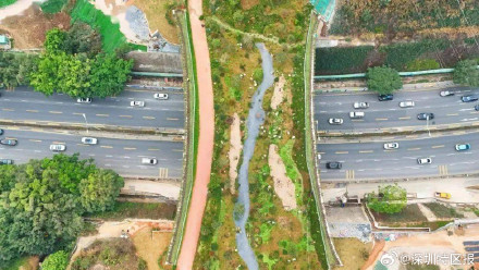 深圳这座桥的设计灵感来自三位初中生 深圳这座桥的设计灵感来自三位初中生