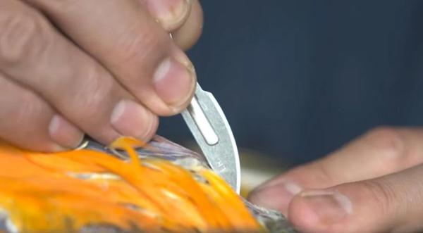 “起死回生”的标本师 “起死回生”的标本师