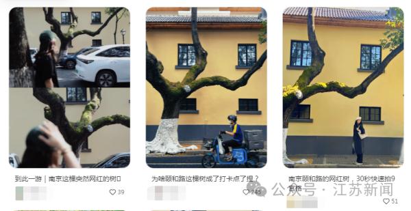 网友自发打卡火到出圈！一面墙也能成新景点，凭啥？