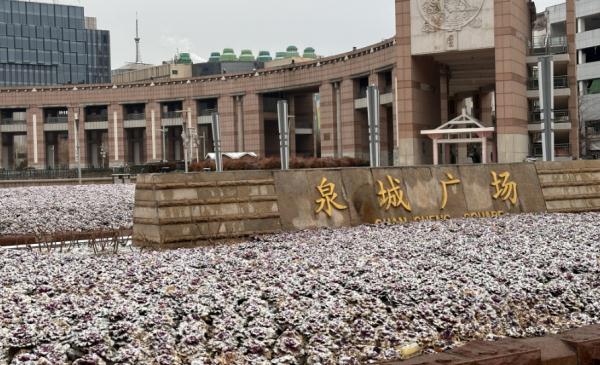 快看！山东多地签收2024年第一场雪