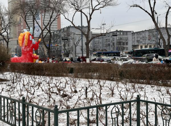 快看！山东多地签收2024年第一场雪