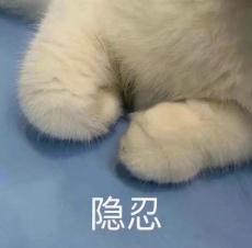 商家冤枉学生偷东西还挂照片?闹上法庭,结局是…… 商家冤枉学生偷东西还挂照片?闹上法庭,结局是……