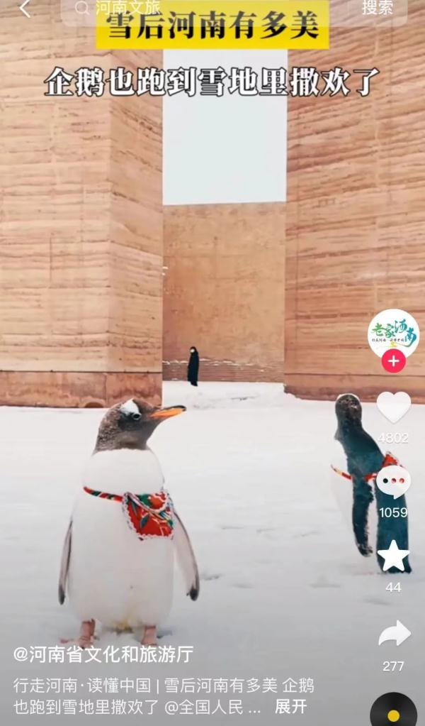 “卷”到终于出圈了！一地文旅紧急发声：别搞事啊......