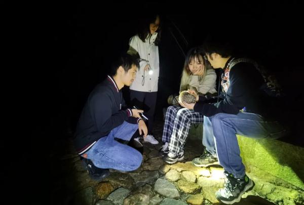 浙江此地发现新物种！