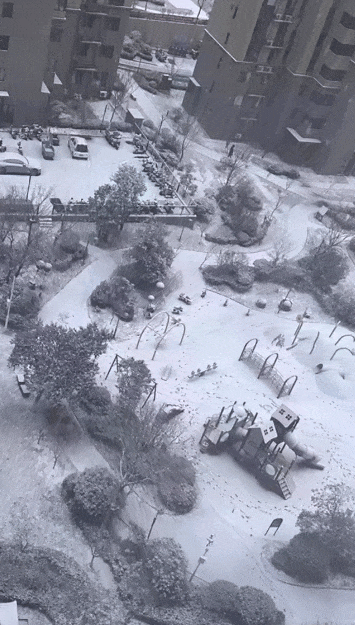 快看！山东多地签收2024年第一场雪