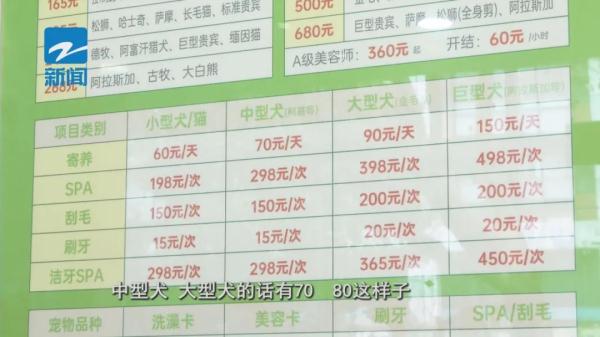 火爆！有人从元旦就开始预定，最高每天319元，价格还要涨