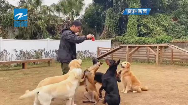 火爆！有人从元旦就开始预定，最高每天319元，价格还要涨