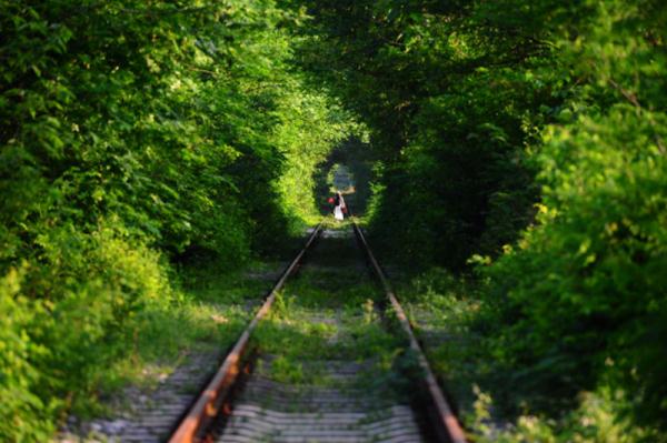 乘坐公交去结婚!合肥“520”“1314”来了 乘坐公交去结婚!合肥“520”“1314”来了