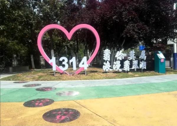 乘坐公交去结婚!合肥“520”“1314”来了 乘坐公交去结婚!合肥“520”“1314”来了