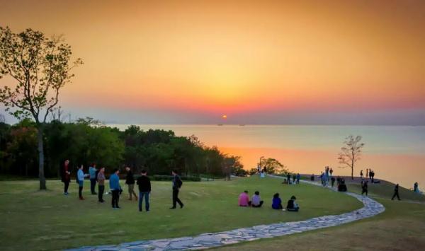 乘坐公交去结婚!合肥“520”“1314”来了 乘坐公交去结婚!合肥“520”“1314”来了