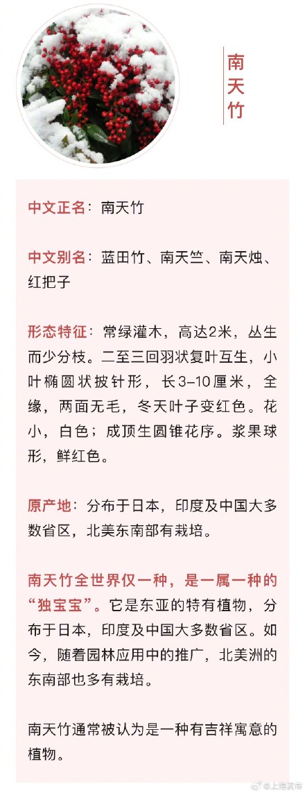 全株有毒！看见这种红色果实千万不要摘食！