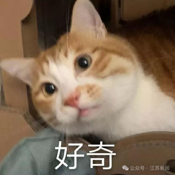 登上热搜!红山动物园凭它再“出圈” 登上热搜!红山动物园凭它再“出圈”