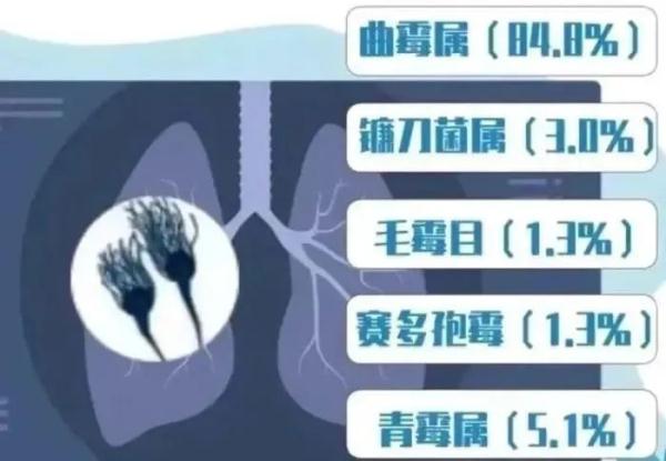 警惕！毒性是砒霜数十倍！家中常见，致癌物藏在三个意想不到的区域！