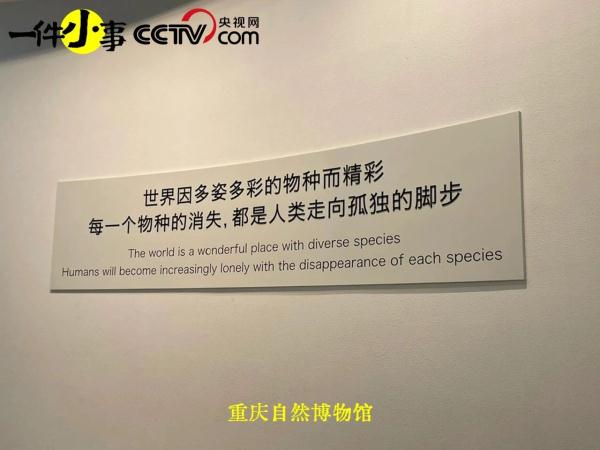 被博物馆的结语打动了