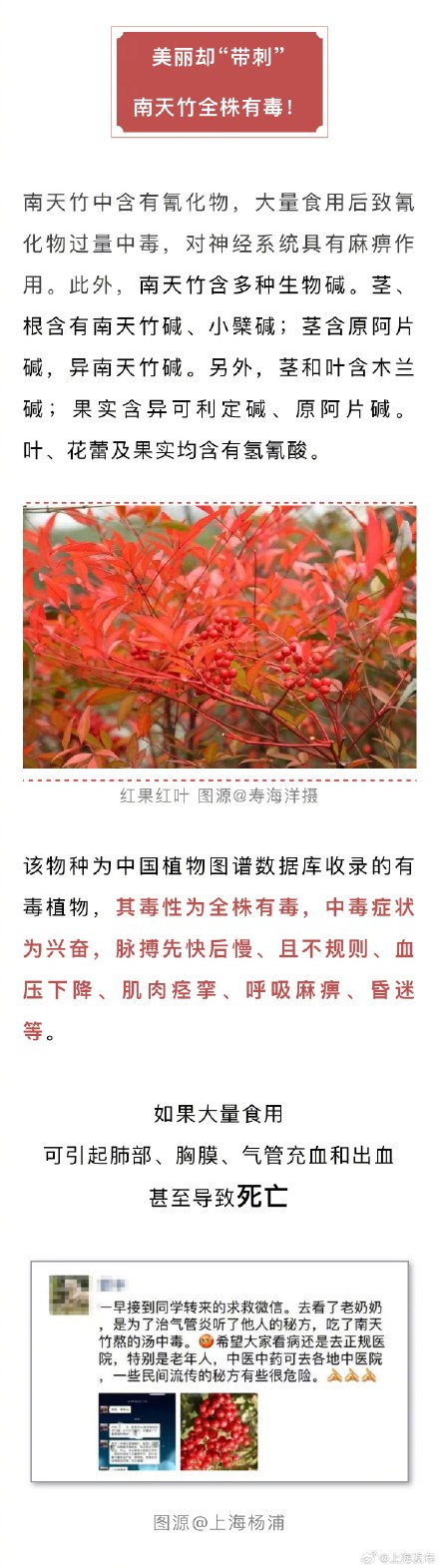 全株有毒！看见这种红色果实千万不要摘食！