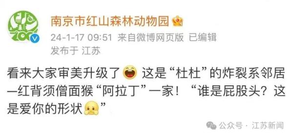 这家动物园又有猴子出圈了！再度"丑"上热搜