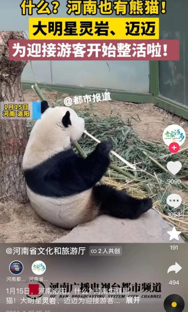 “花样整活”的“文旅秀”是否用力过猛?热闹背后更需练好内功 “花样整活”的“文旅秀”是否用力过猛?热闹背后更需练好内功