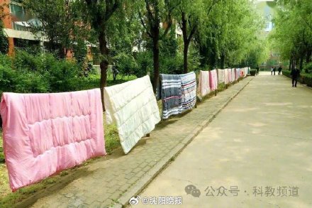 晒被子后的太阳味是螨虫烤焦的味道吗 晒被子后的太阳味是螨虫烤焦的味道吗