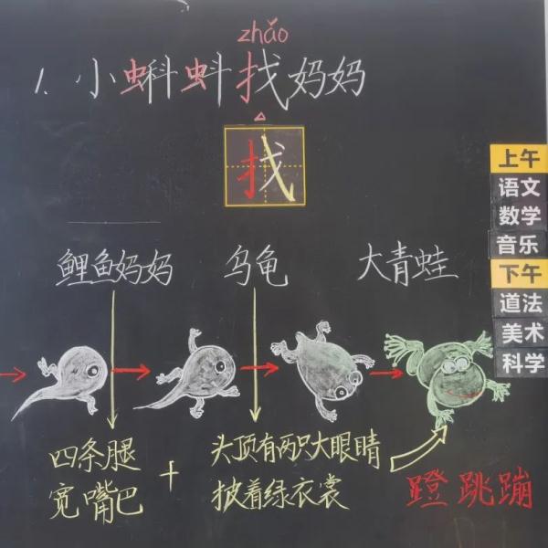 浙江一语文老师板书走红，网友“妈妈再也不用担心我的学习”