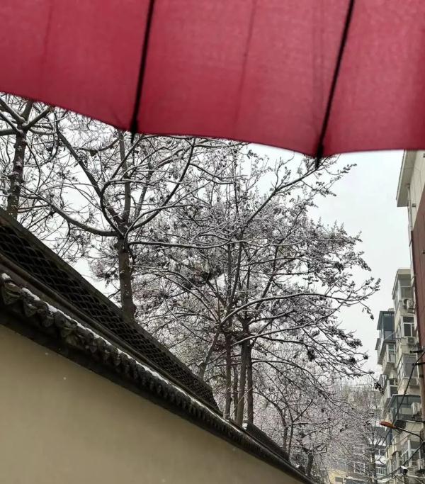 小雪+雨夹雪！未来三天，河北雨雪频繁“打卡”……