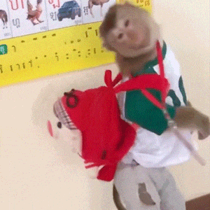 登上热搜!红山动物园凭它再“出圈” 登上热搜!红山动物园凭它再“出圈”