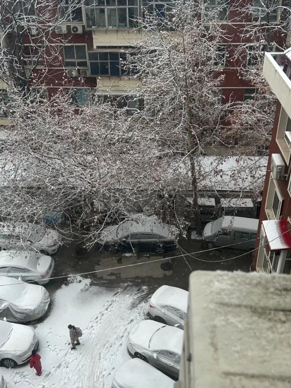 石家庄下雪了！河北多个高速站口关闭！今天，这些地方还有雪……