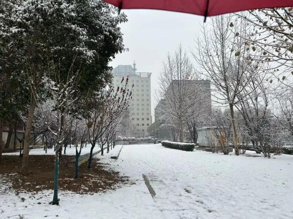 小雪+雨夹雪！未来三天，河北雨雪频繁“打卡”……