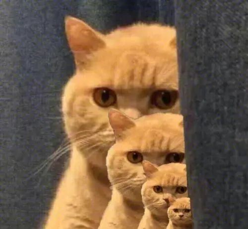 文旅这么卷,上海没什么存在感?上海网友:伐响 文旅这么卷,上海没什么存在感?上海网友:伐响