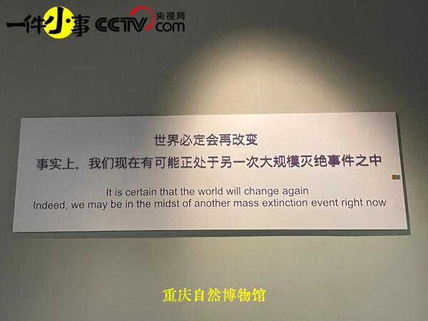 被博物馆的结语打动了