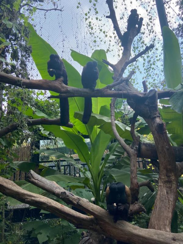 登上热搜!红山动物园凭它再“出圈” 登上热搜!红山动物园凭它再“出圈”