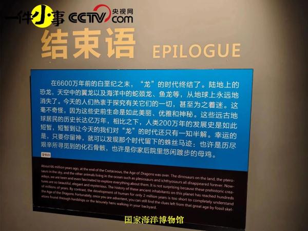 被博物馆的结语打动了