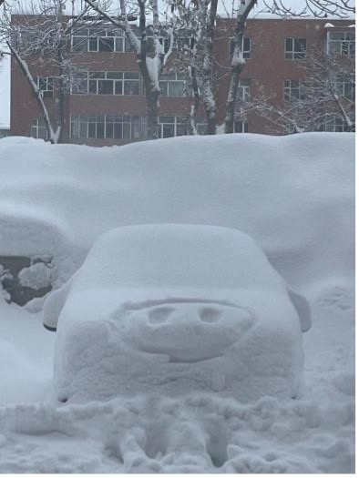 雪崩封路，滞留喀纳斯的日与夜